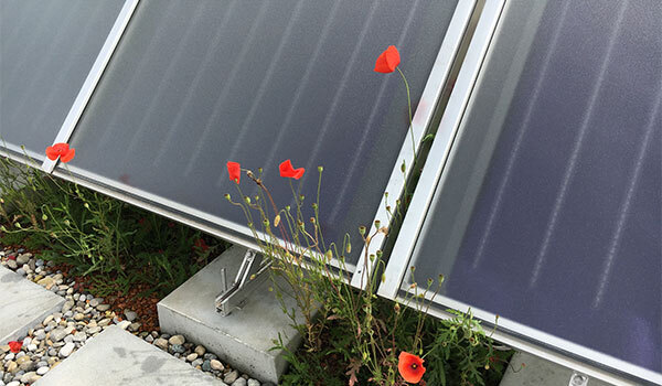 Solarkkollektoren