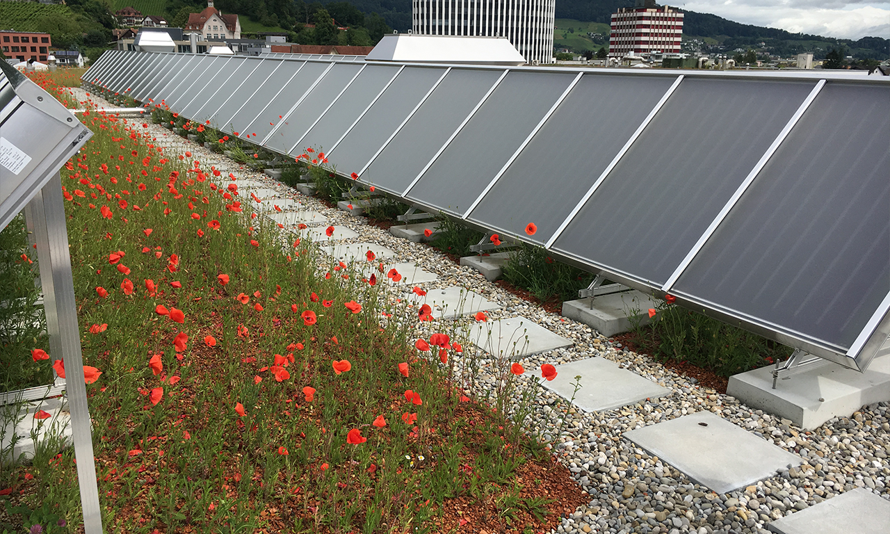 Thermische Solaranlagen aufdach